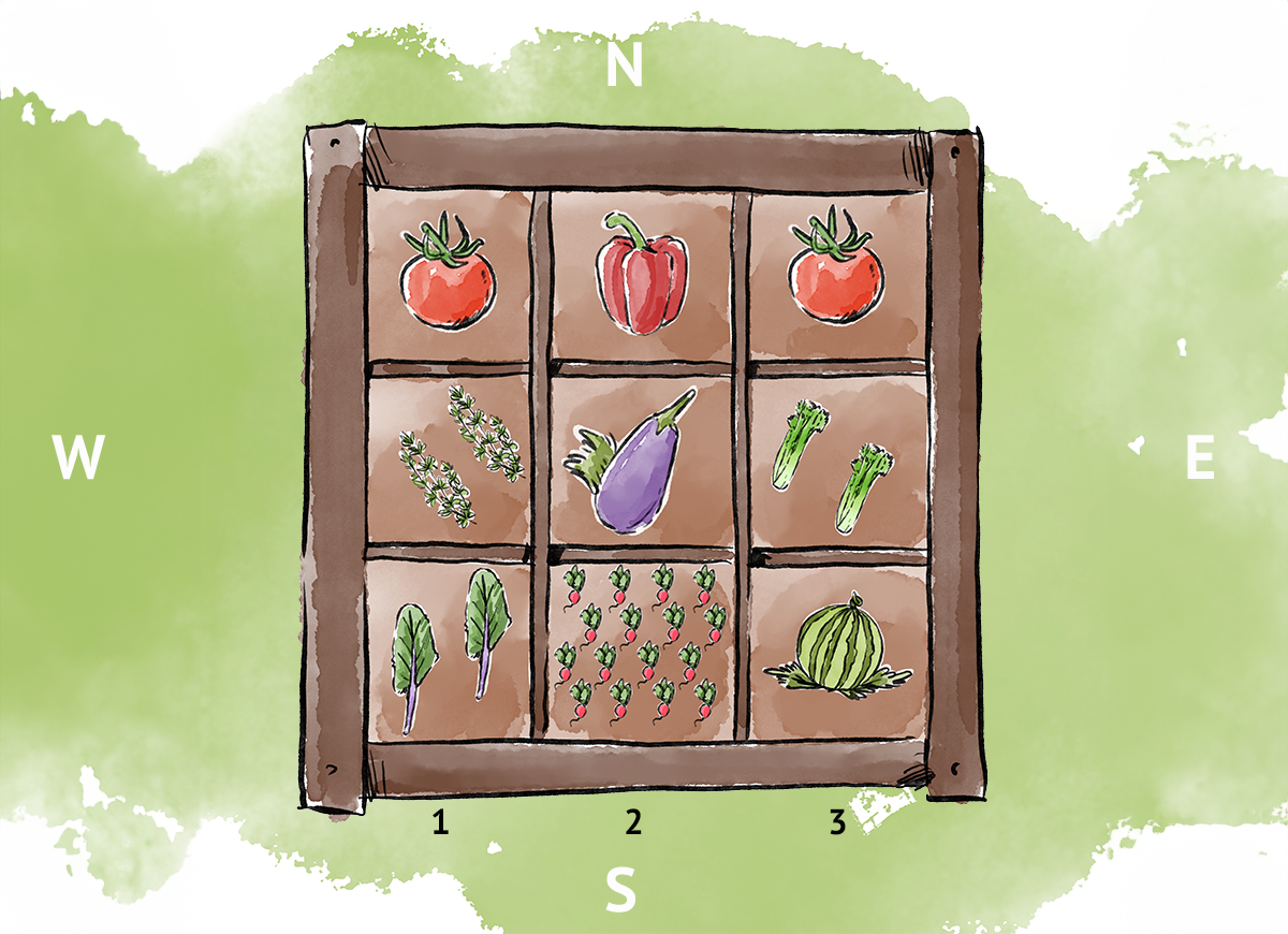 An illustration of a square foot vegetable garden layout.