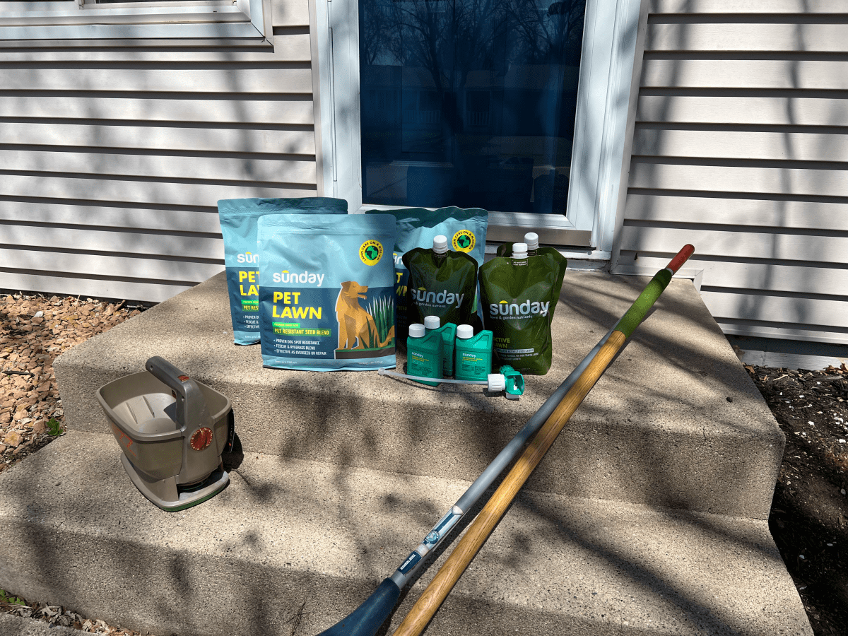 Sunday-lawn-care-subscription-review-fertilizer-application-13