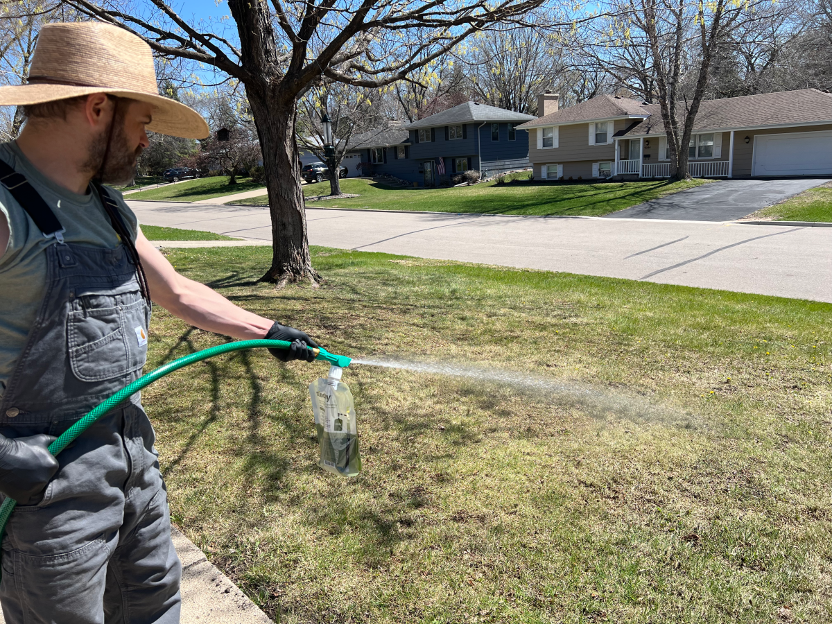 Sunday-lawn-care-subscription-review-fertilizer-application-21