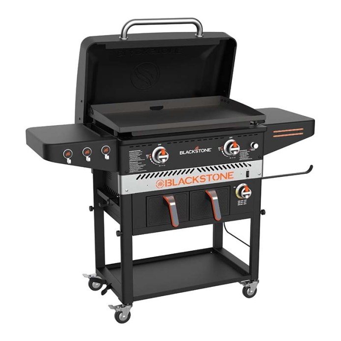 The Best Blackstone Grills of 2024 for Sizzling Good Food