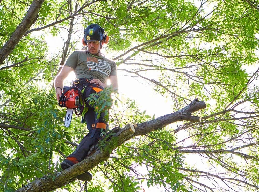 The Best Father's Day Gifts for Plant Pros Option Chainsaw