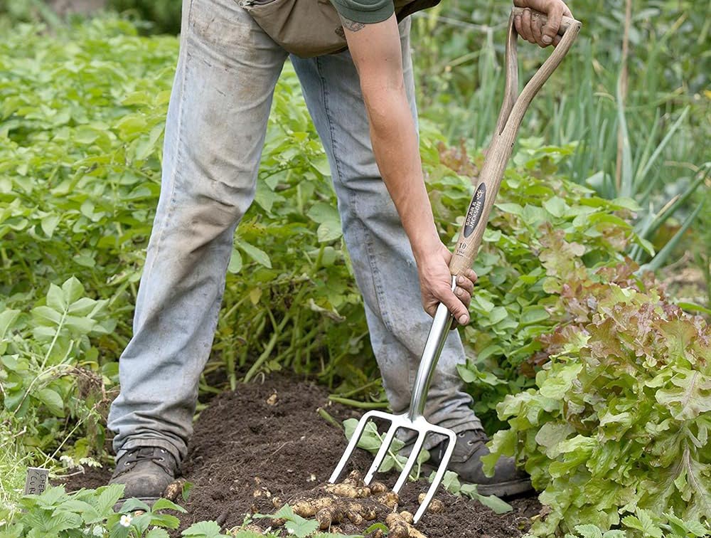 The Best Father's Day Gifts for Plant Pros Option Traditional Stainless Border Fork