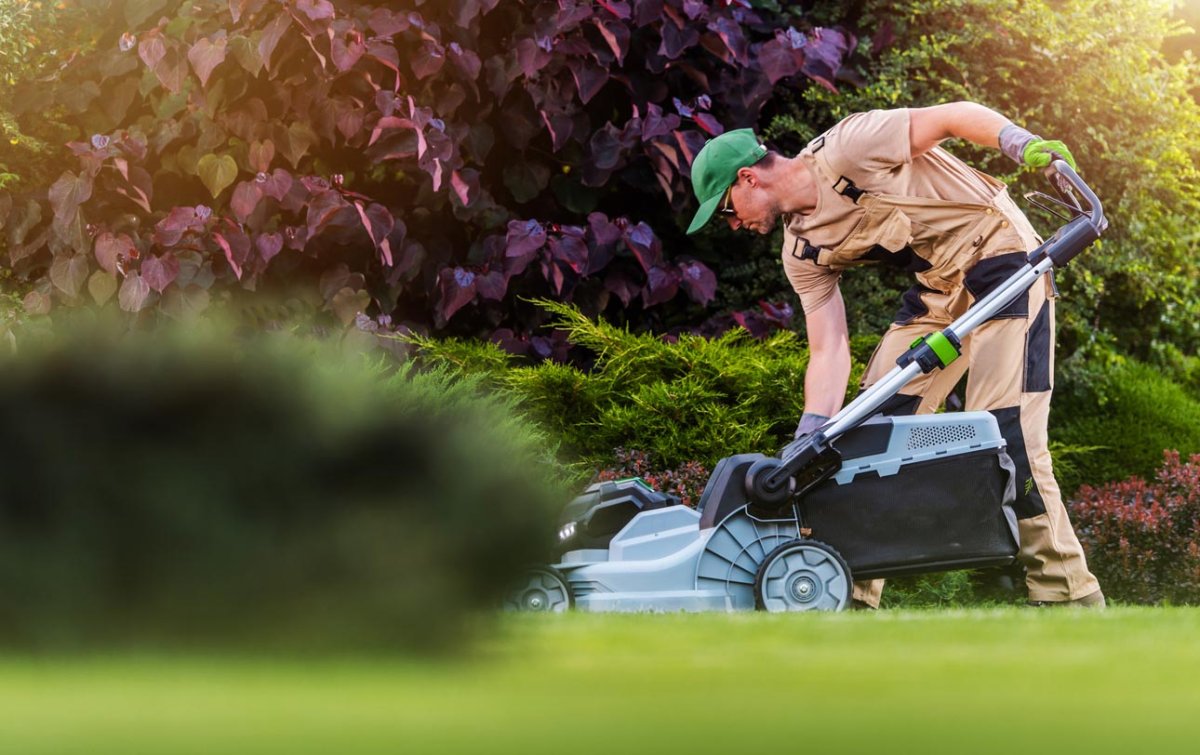 The Best Father's Day Gifts for Plant Pros