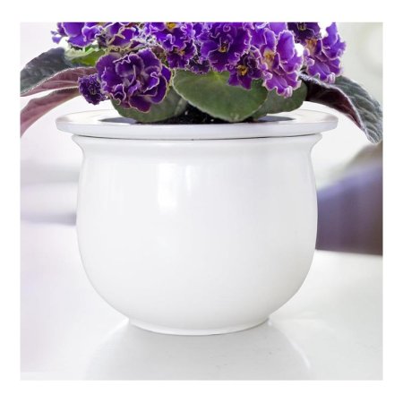  The Atri African Violet Self-Watering Ceramic Pot growing a beautiful African violet.