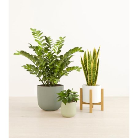  The easyplant Radiant Trinity planters with plants in them on a neutral background.