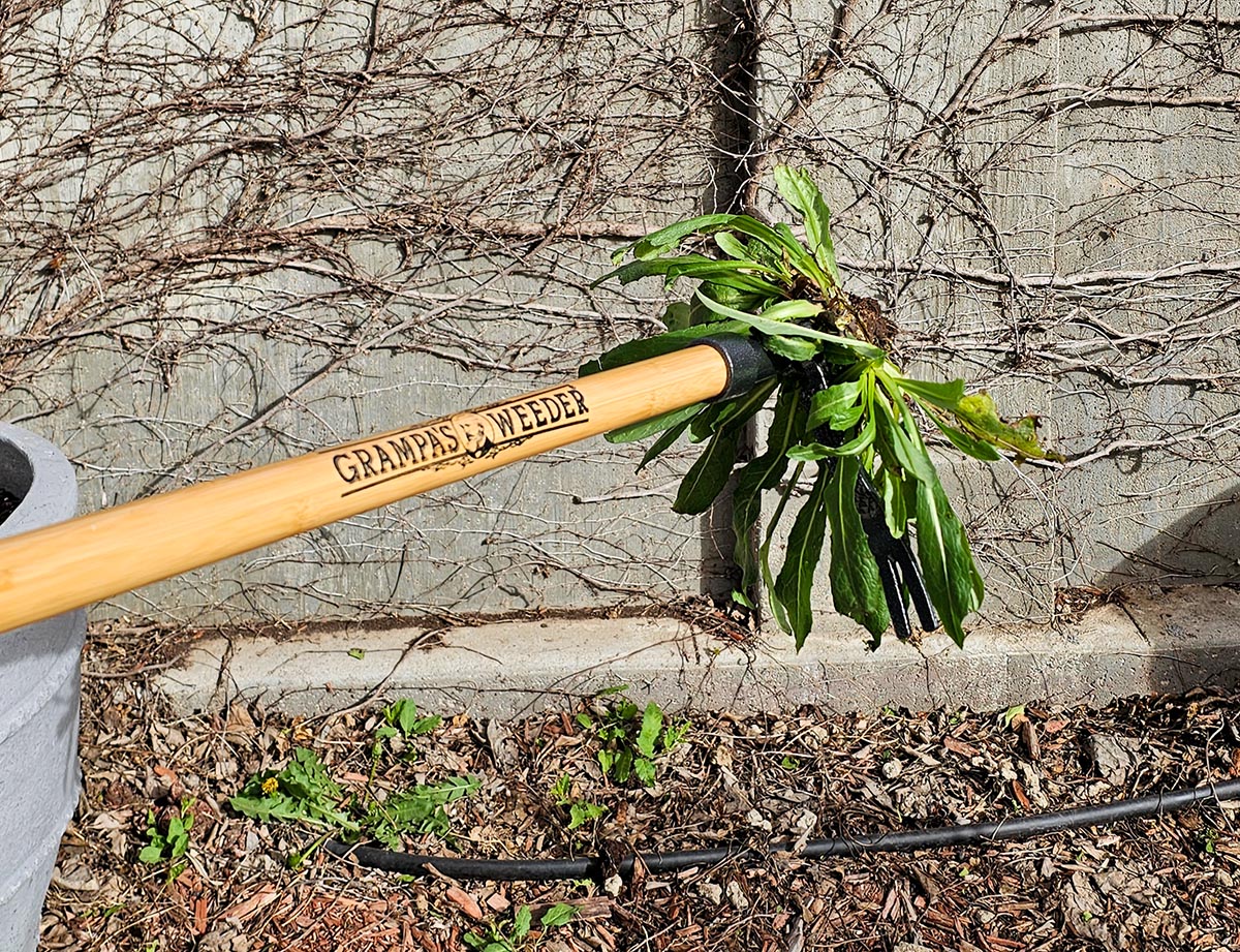 The Best Stand-Up Weeder Options