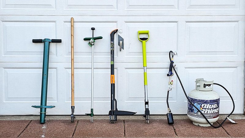 A group of the best stand-up weeders in front of a garage door before testing.