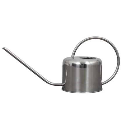 The FastGrowingTrees Stainless Steel Watering Can on a white background.
