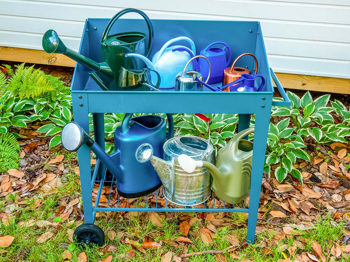 A collection of the best watering cans in a garden cart before testing.