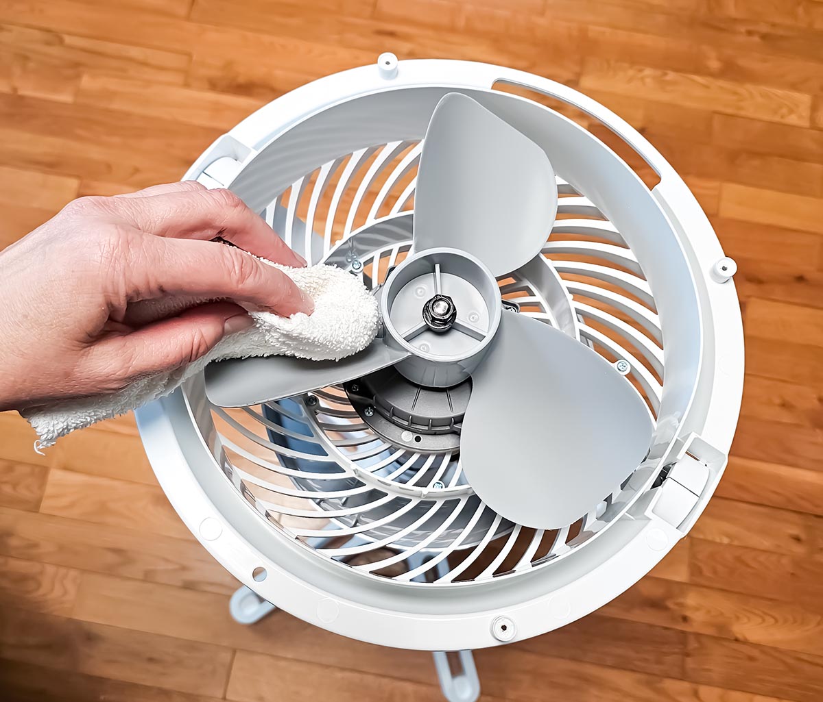 Vornado Fan Review