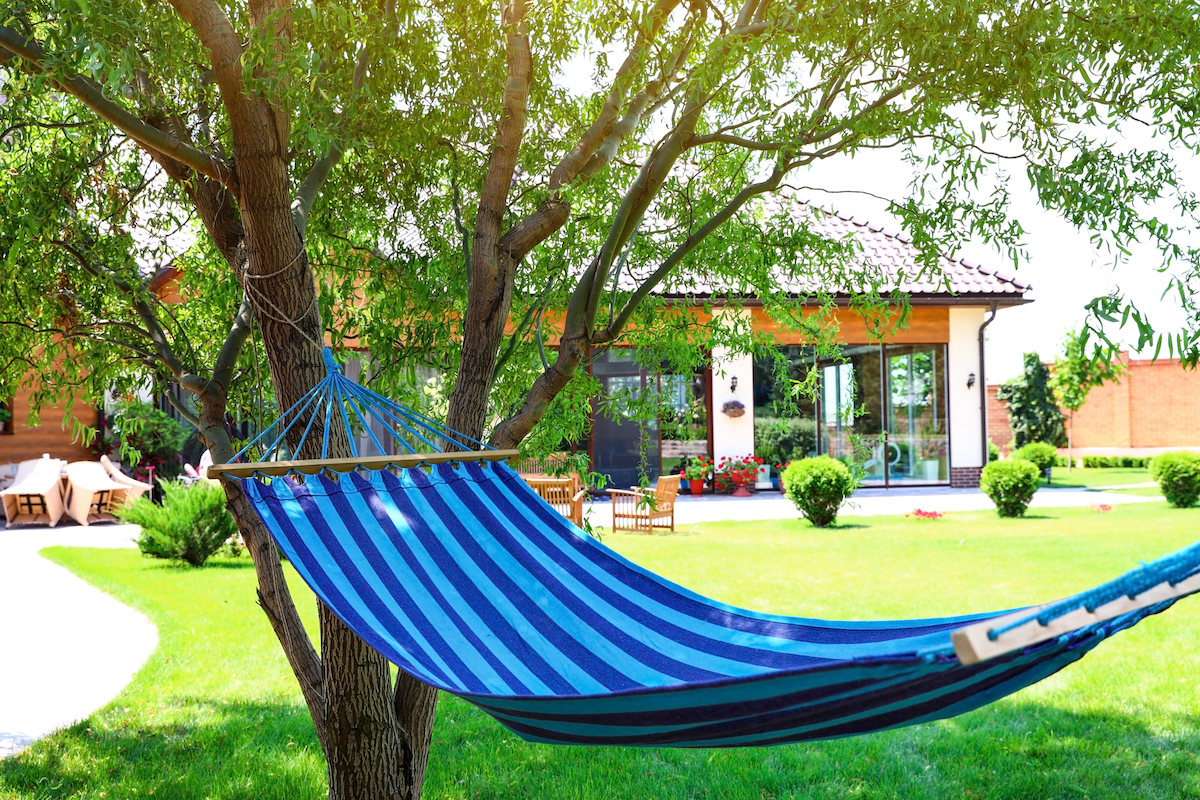 Oversized blue hammock hanging from a tree in a backyard.