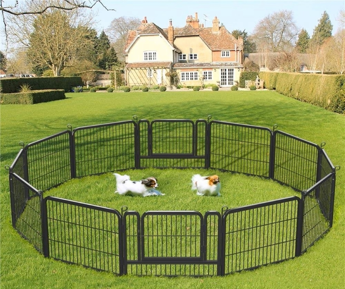 A circular dog run with two small dogs playing inside.