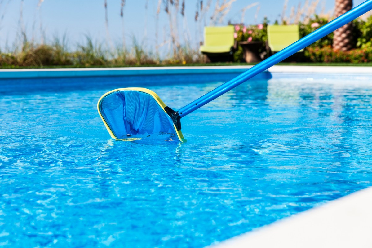 A close up of a pool net dipped into a pool.