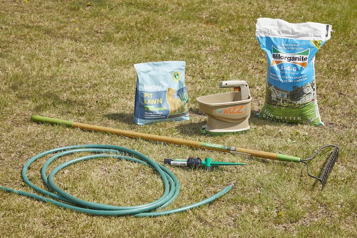 Materials for overseeding a lawn sitting on the grass, including garden hose, rake, fertilizer, seeds, and spreader.