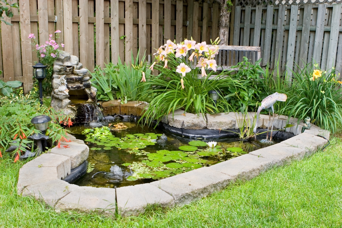 A small backyard pond with flowers around the border.