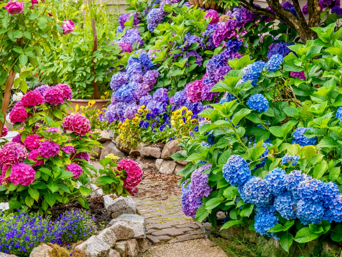 A large ornamental garden with bright flowers and stone walkway.