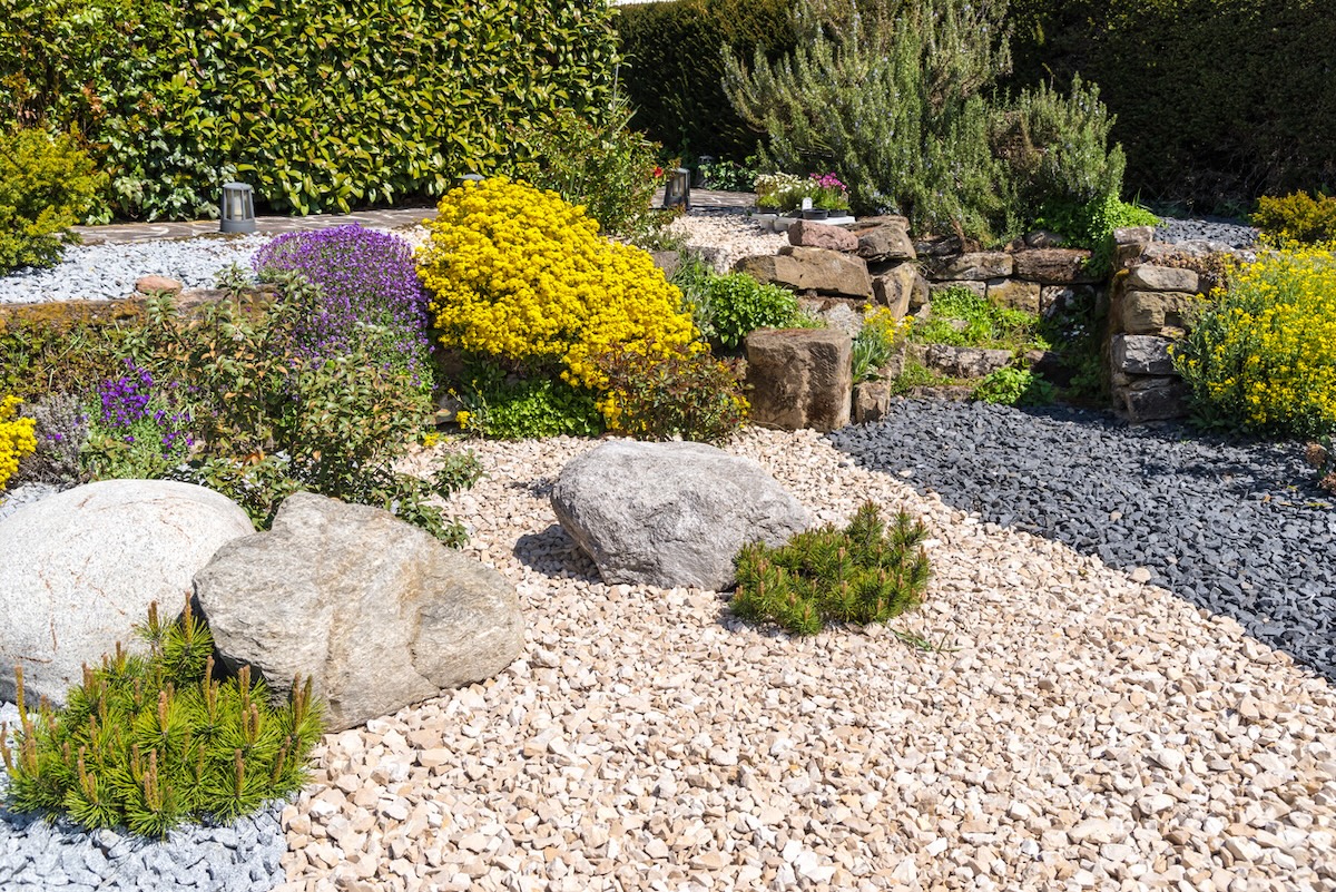 A colorful rock garden with flowering shrubs comprising a water conscious xeriscape landscape.
