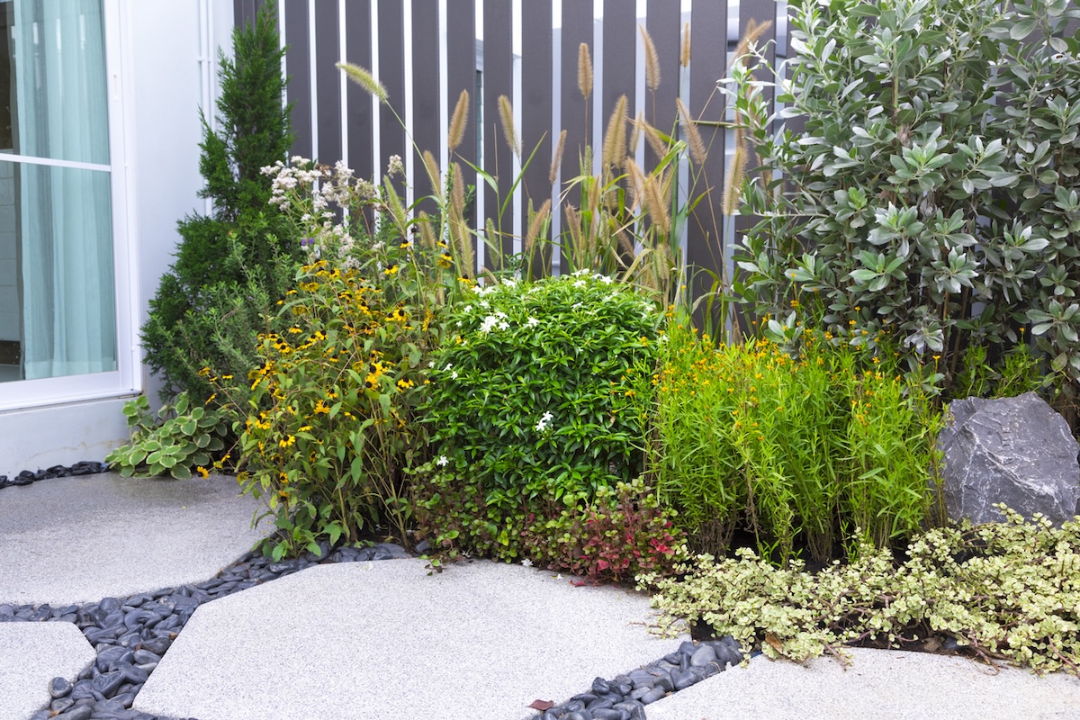 A small section of a residential xeriscape landscape.