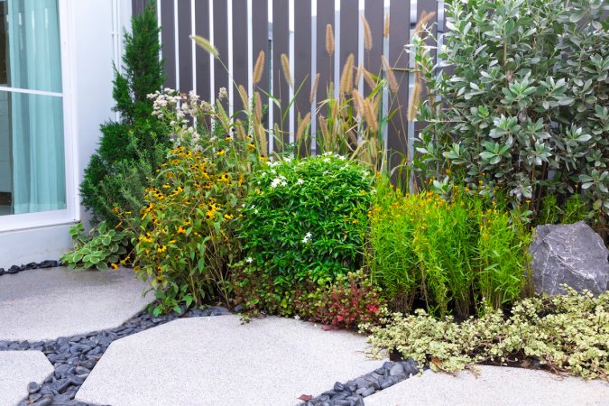 A small section of a residential xeriscape landscape.