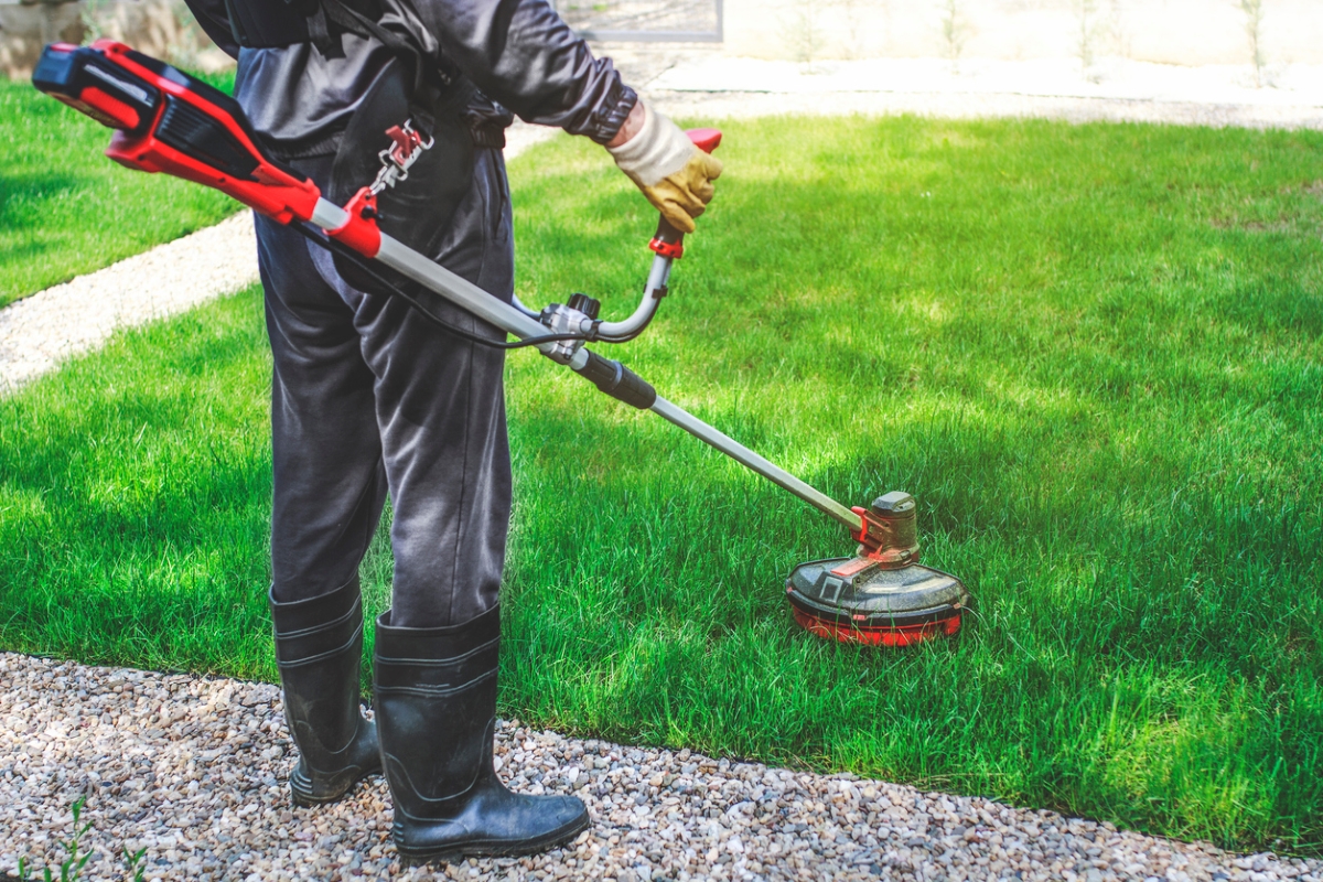 Person using grass trimmer on green lawn.