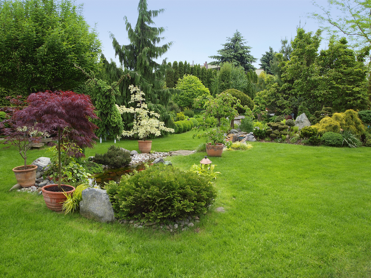 A lush garden is highlighted with trees and plants of various colors, healthy grass, and stone.