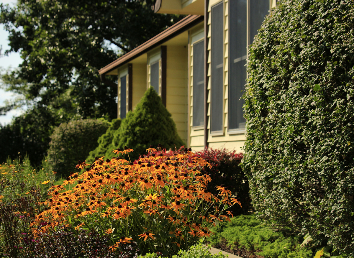 A home with native flowers and shrubs decorating the front yard.