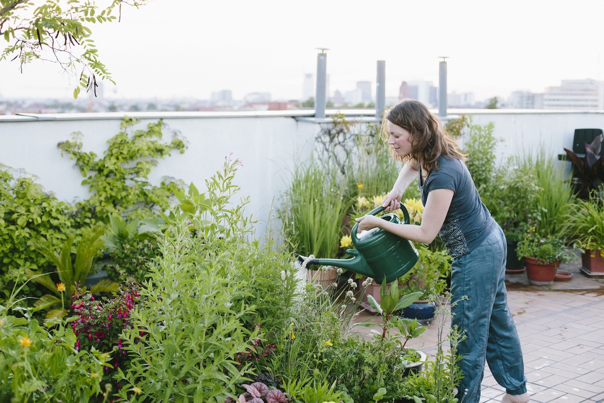 A person watering her rooftop garden.