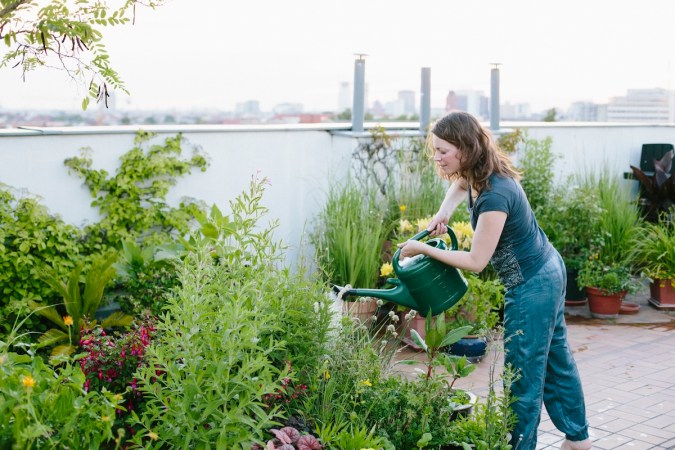 A person watering her rooftop garden.