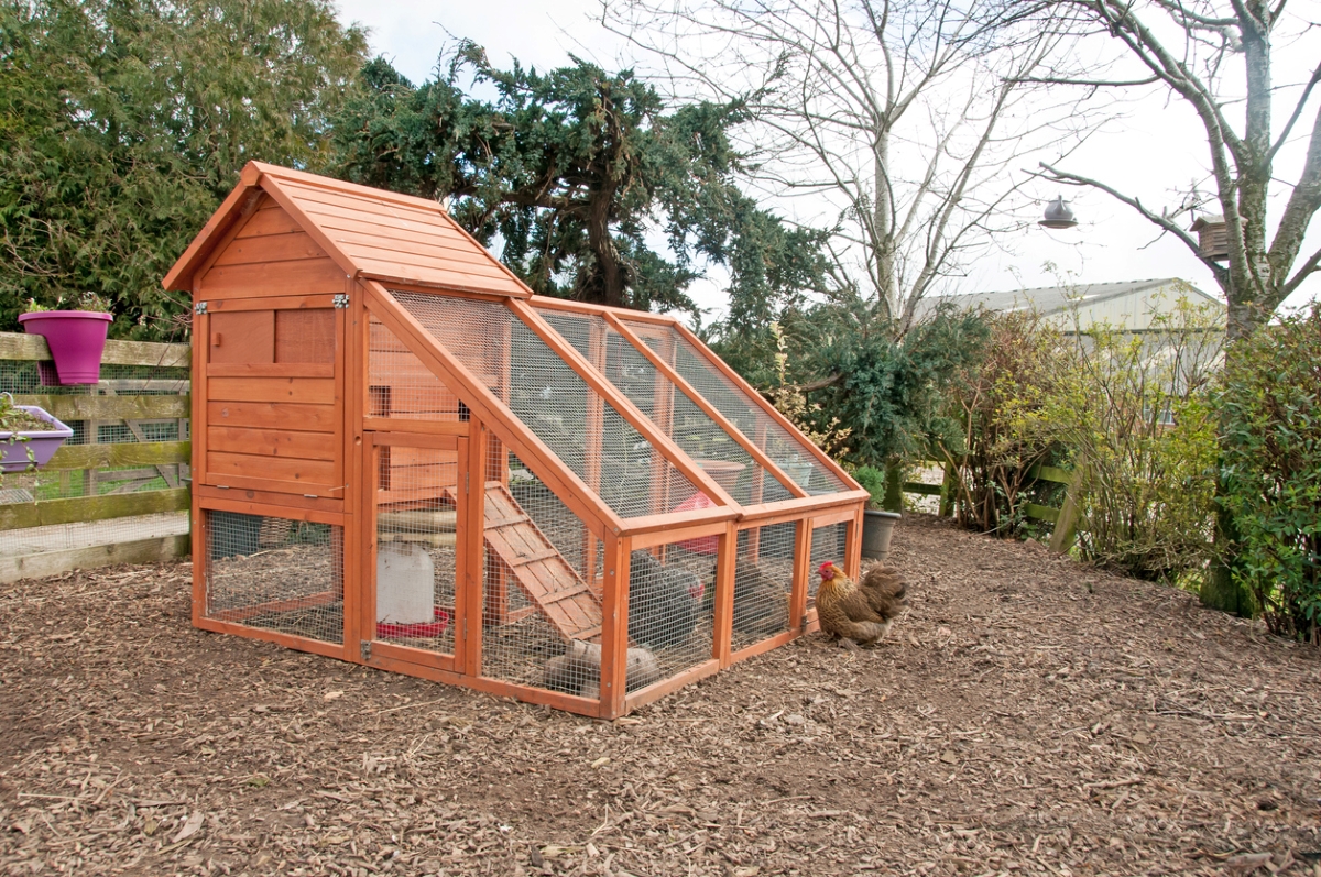 A large chicken coop in yard.