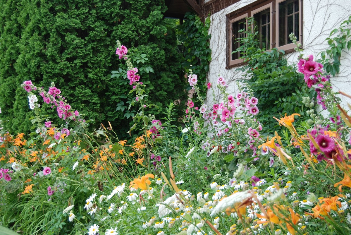 A chaos garden outside a residential home in a suburban neighborhood.