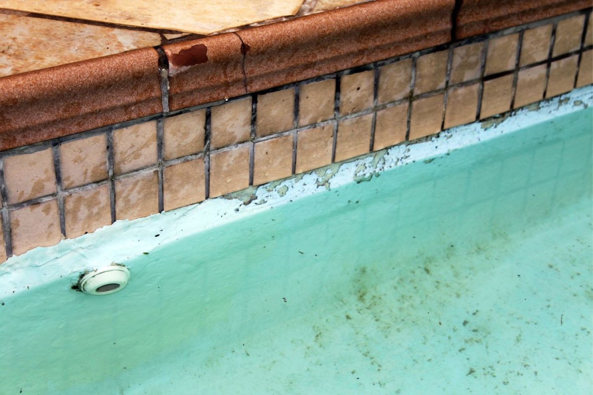 A close up of a dirty pool.