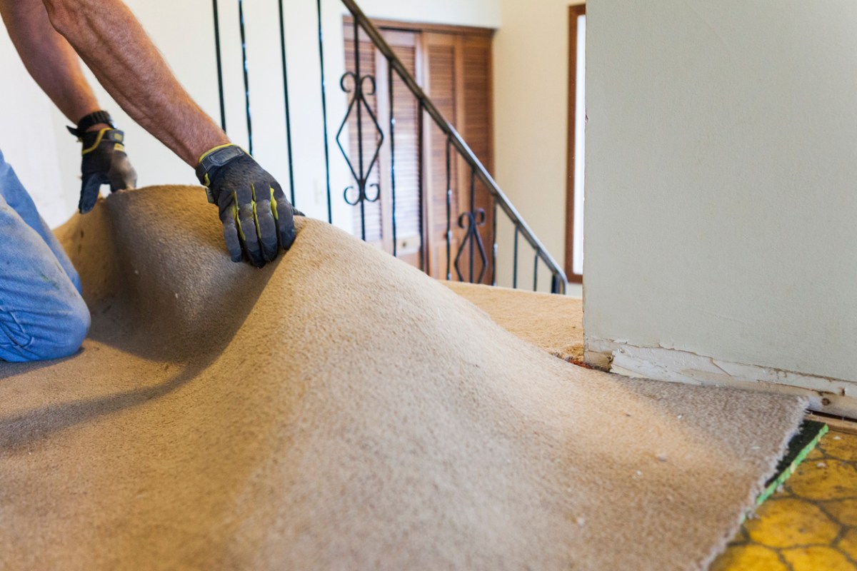 Man wearing black work gloves removes beige carpet from floor.