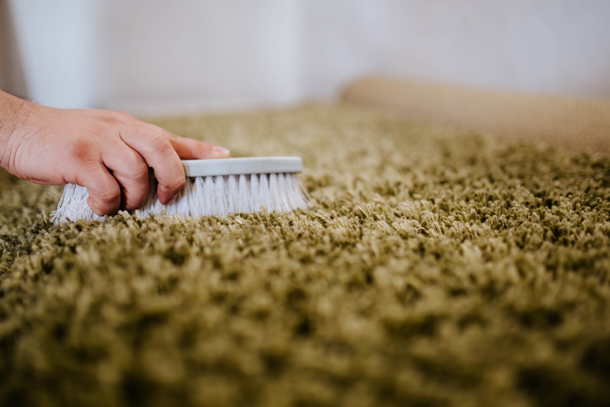 Person holding a scrub brush cleans a moldy carpet. 