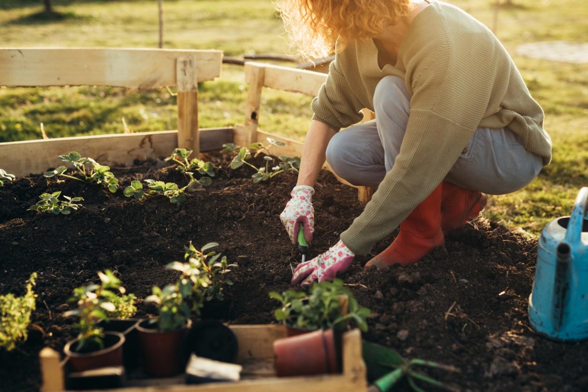 A woman in a beige sweater is gardening. 
