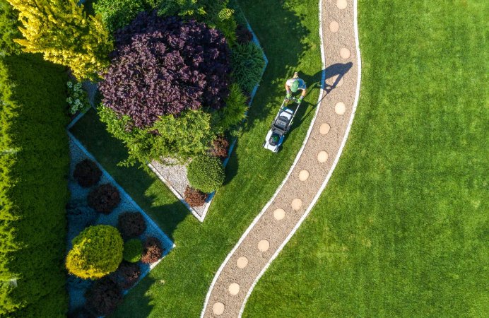 An aerial view of a lush lawn.