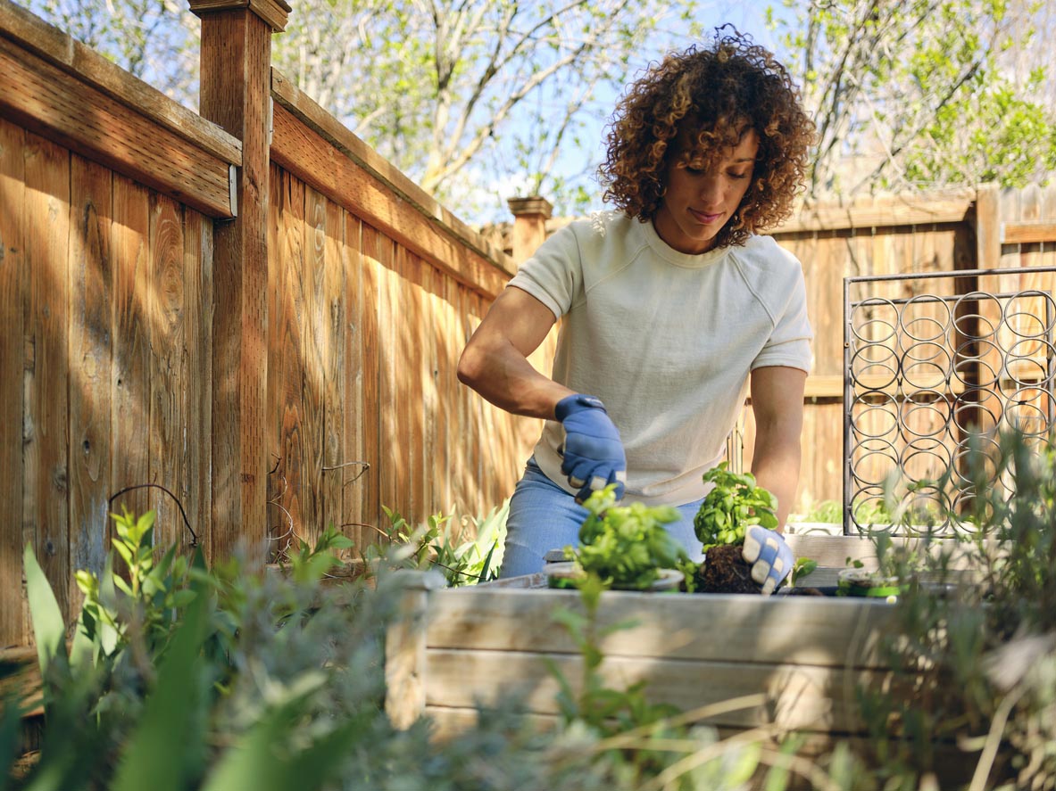 A woman gardens on a sunny day.