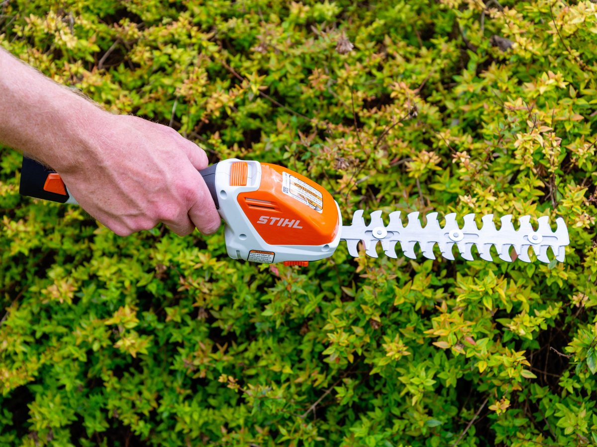 Someone holding cordless grass shears to trim a hedge