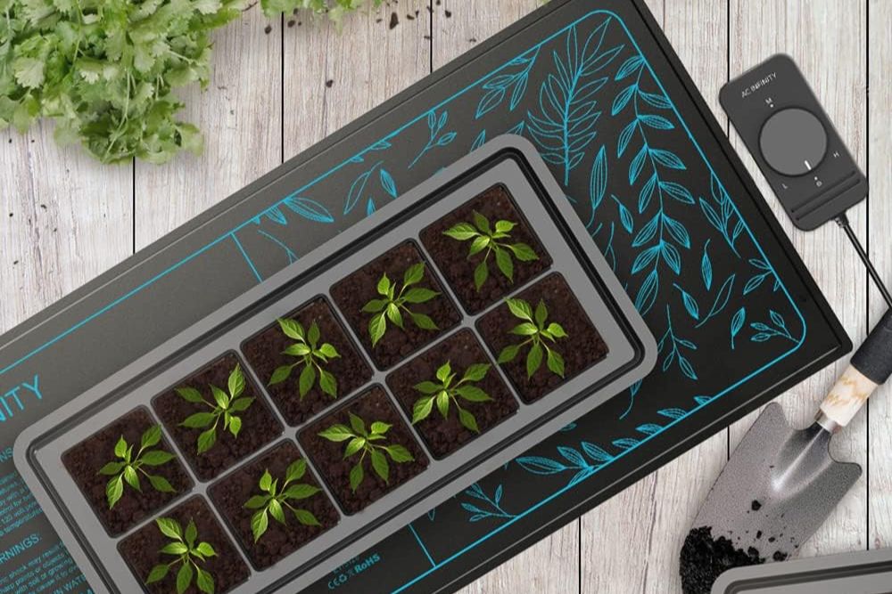 A seedling heat mat with some young plants on top of it