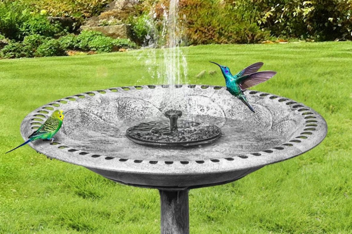 Budget-Friendly Finds for Your Backyard and Patio Bird Bath and Solar-Powered Fountain 