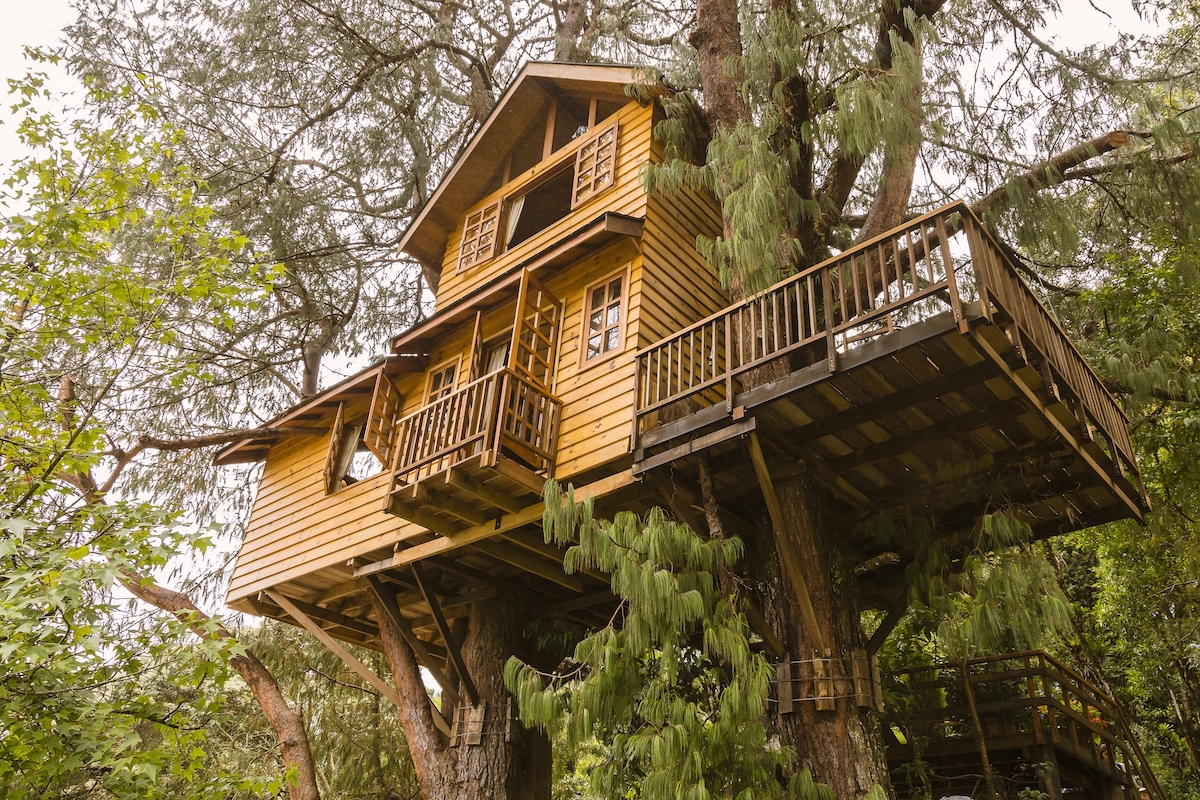 A large wooden house is supported by a large tree.