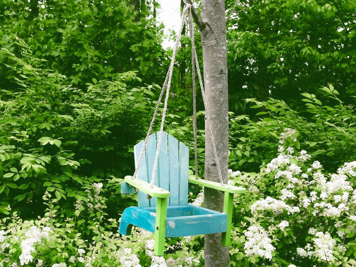 An old chair turned into a swing hangs from a tree.