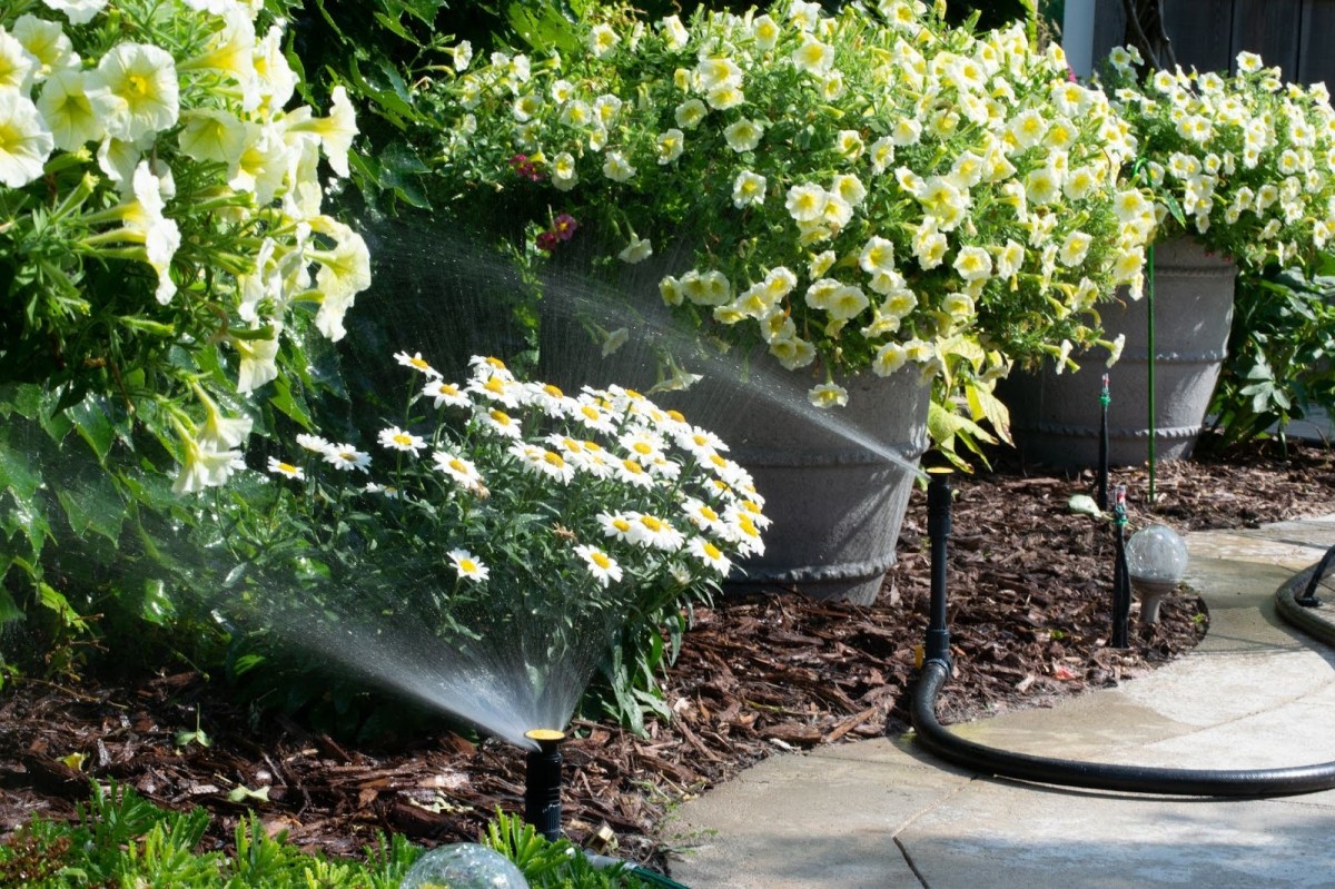 The Melnor 65083-AMZ Multi-Adjustable Sprinkler watering blooming plants during testing.