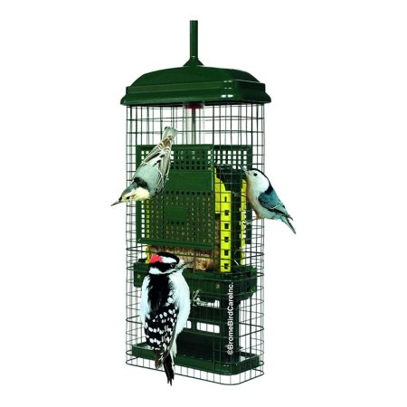  Three birds on the Brome Squirrel Buster Suet Feeder on a white background.