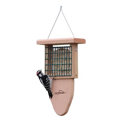 A bird on the Kettle Moraine Cedar Suet Feeder With Tail Prop on a white background.