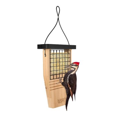 A bird on the Nature’s Way Tail-Prop Suet Bird Feeder on a white background.