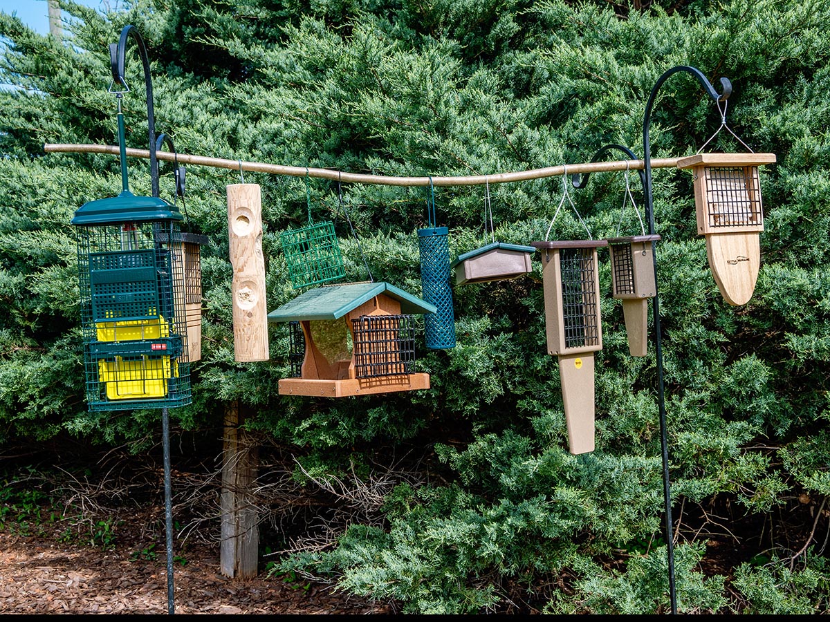 A group of the Best Suet Bird Feeders hanging outdoors together before testing.