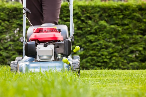 This Is the Correct Grass Cutting Height for Your Lawn, According to ...