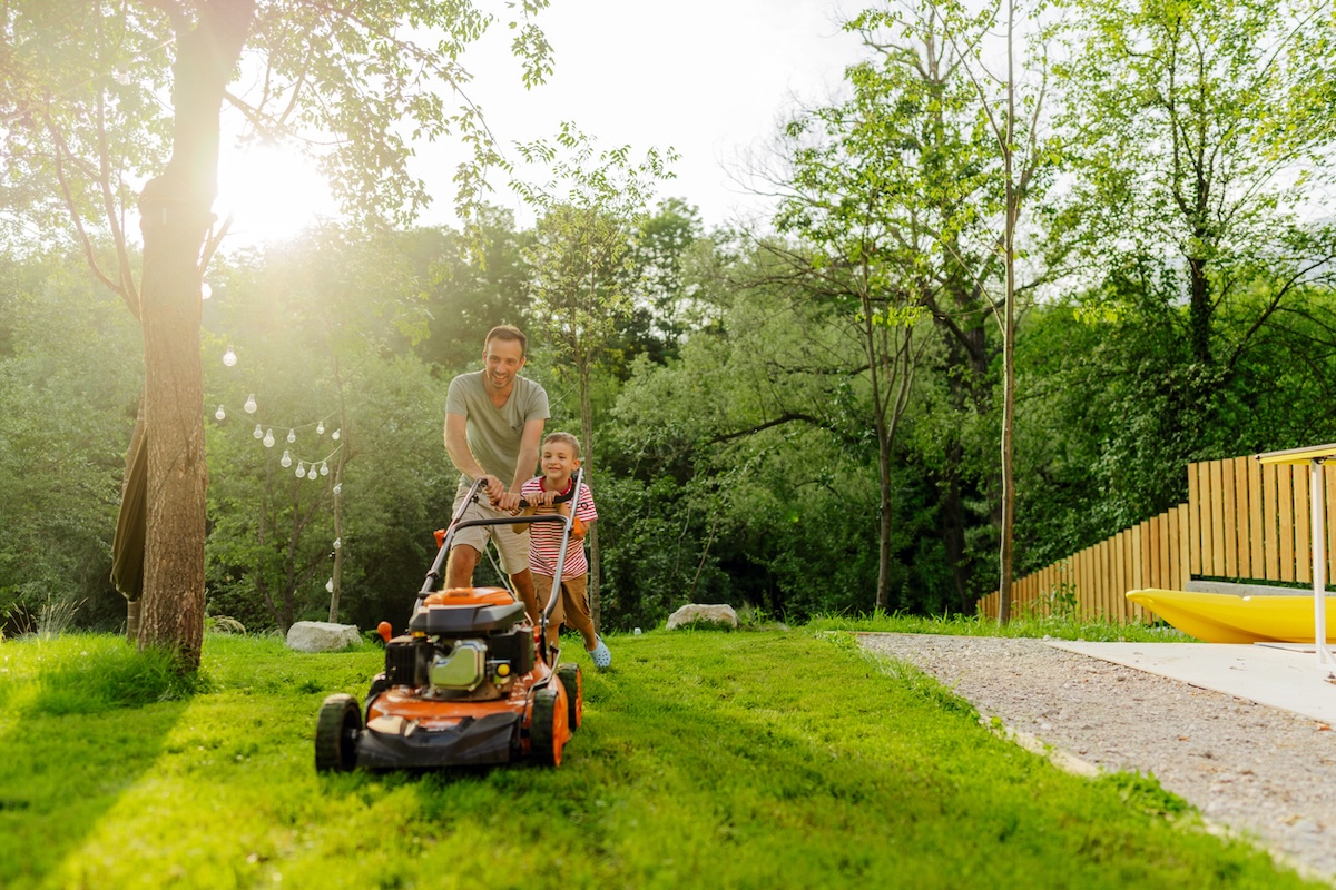 A father and his young son push a lawn mower through healthy yard.