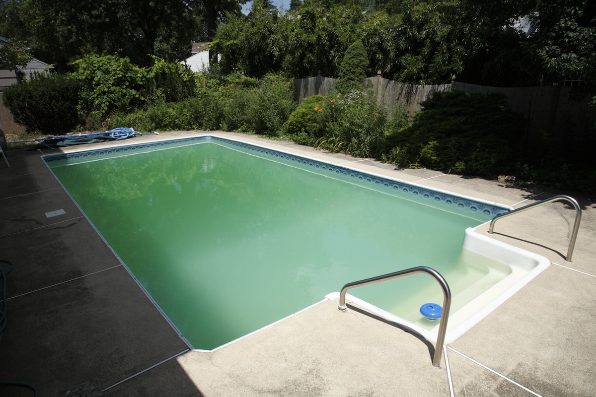Outdoor home pool with green water that needs to be cleaned.