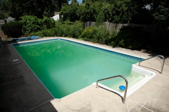 Outdoor home pool with green water that needs to be cleaned.